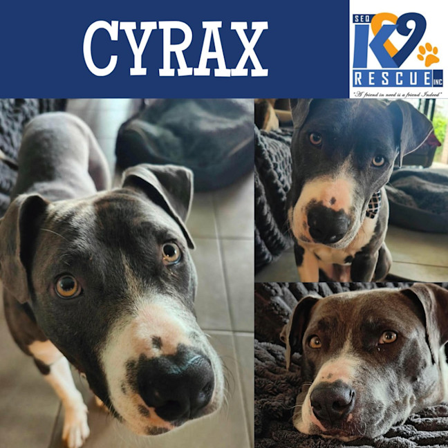 Photo of Cyrax