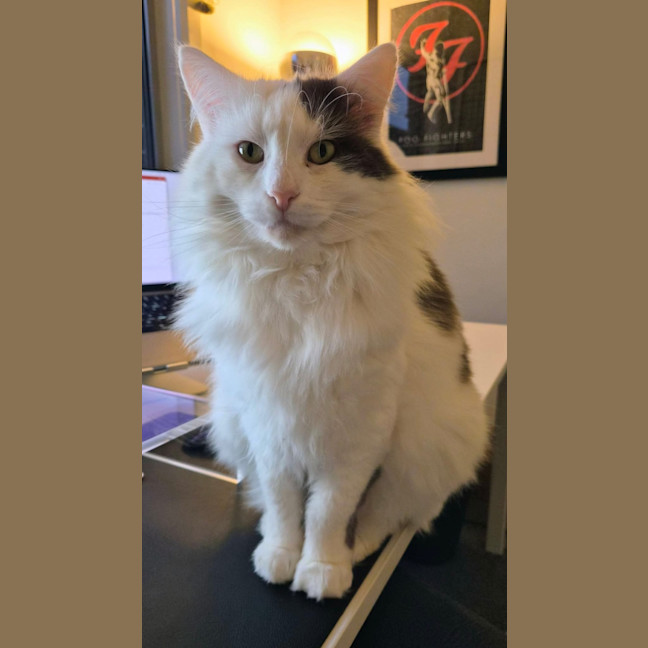 Photo of Walter 