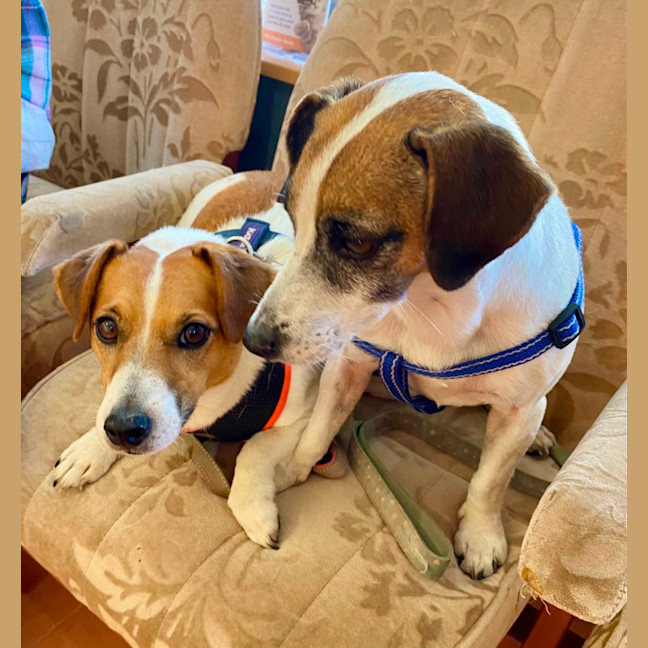 Photo of Turbo And Mazie