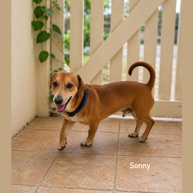 Photo of Sonny