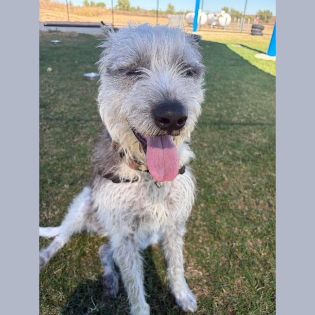 Photo of Winston 