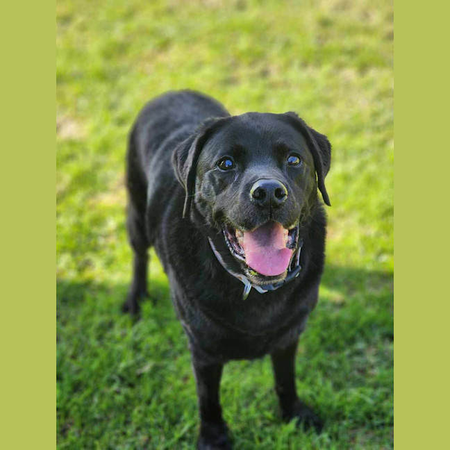 Photo of 🧀 Hugo 6240 🧀