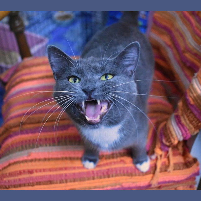 Photo of Phrada 🌒