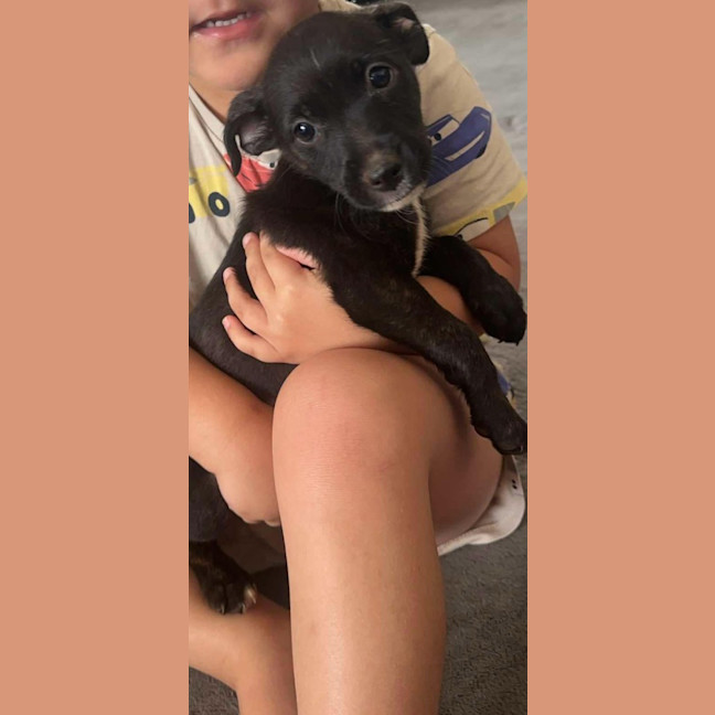 Photo of Zoe