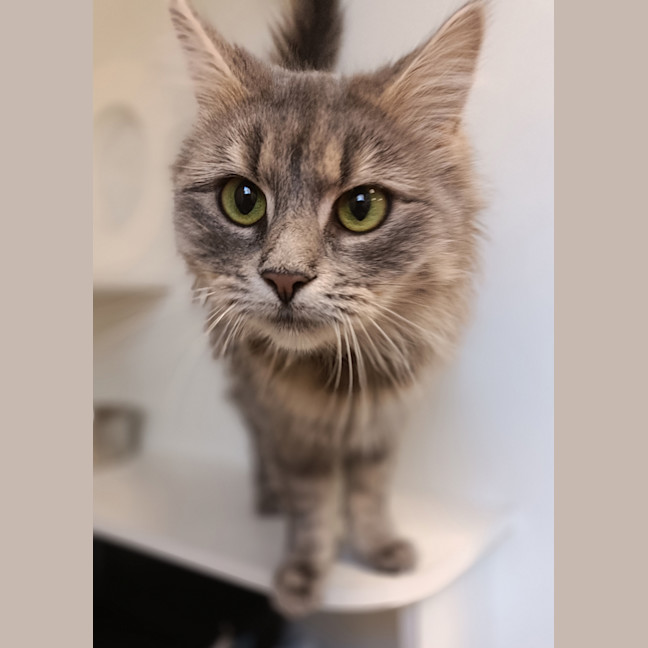 Photo of Lady Penelope