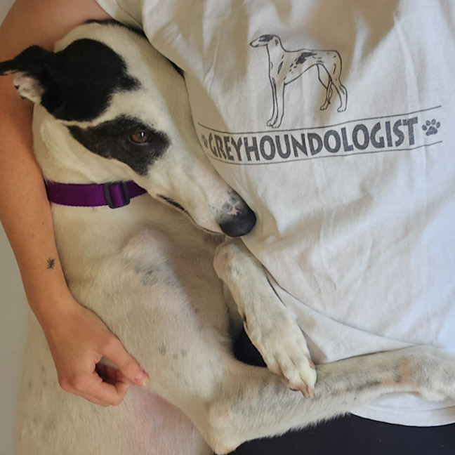 Photo of Blinky Bill