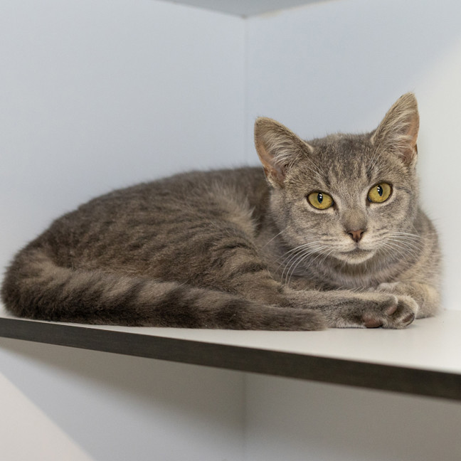 Photo of Sugar