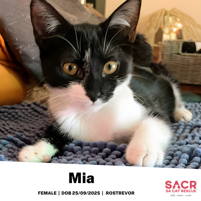 Photo of Mia