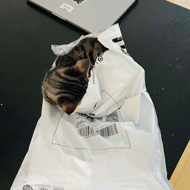 Photo of Beans   Located In Northcote