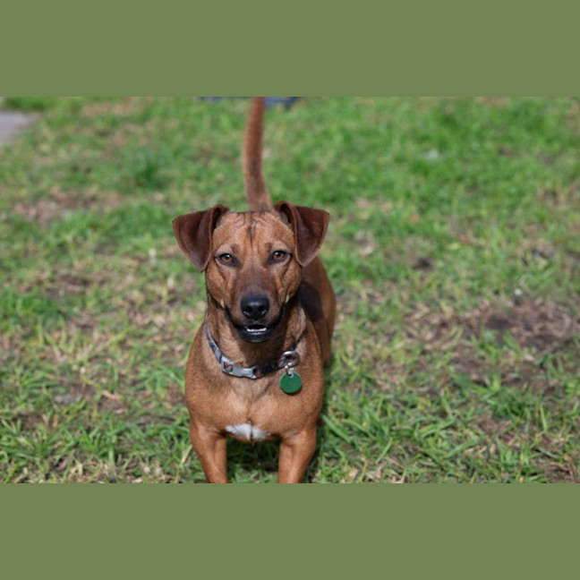 Photo of Bean And Dunkin Russelton