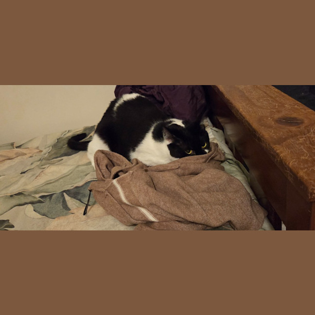 Photo of Angel