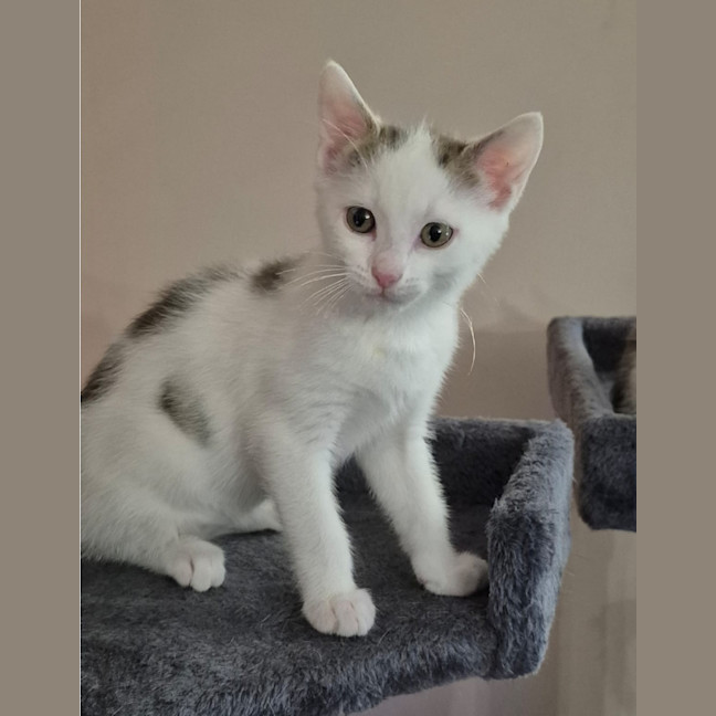 Photo of Elsa