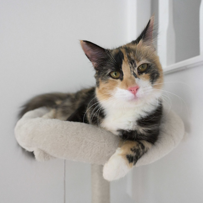 Photo of Jenny 