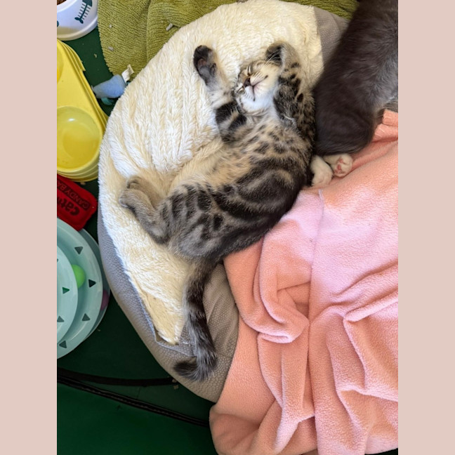 Photo of Andre And Gabby