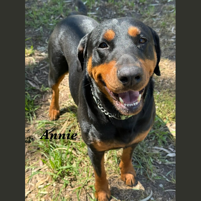 Photo of Annie