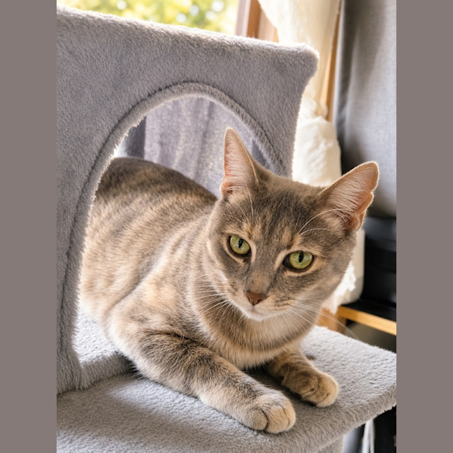 Photo of Luna