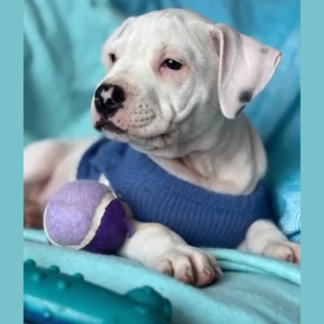 Photo of Cash