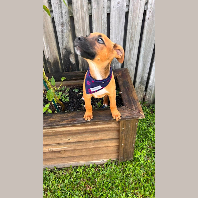 Photo of Tex