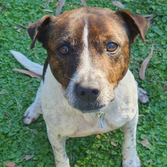 Photo of Pat In The Hat