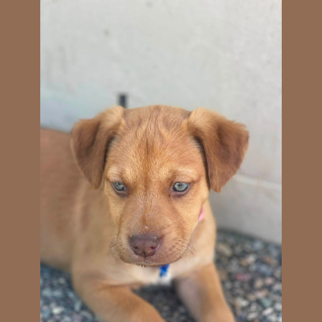 Photo of Hazel