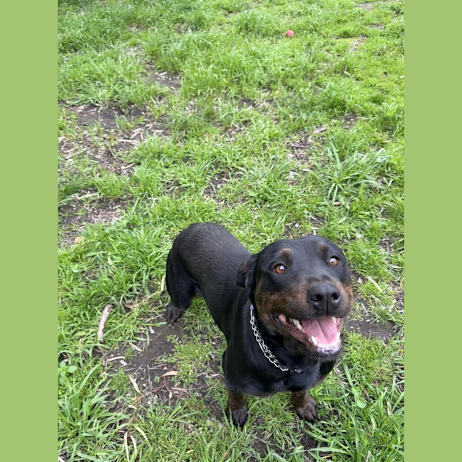 Photo of Lucy