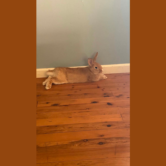 Photo of Popcorn Charlie