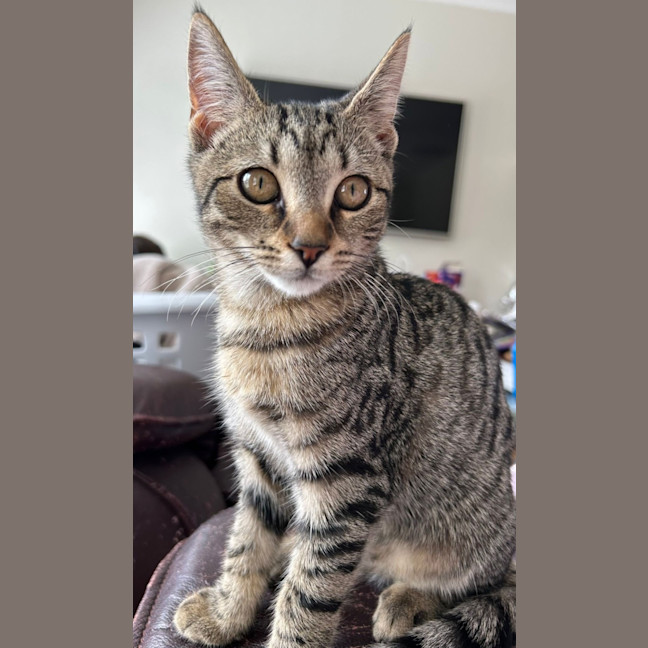Photo of Tina