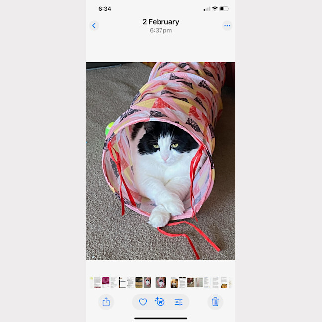 Photo of Richie Rich