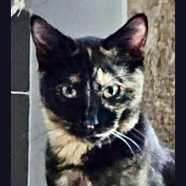Photo of Gemma