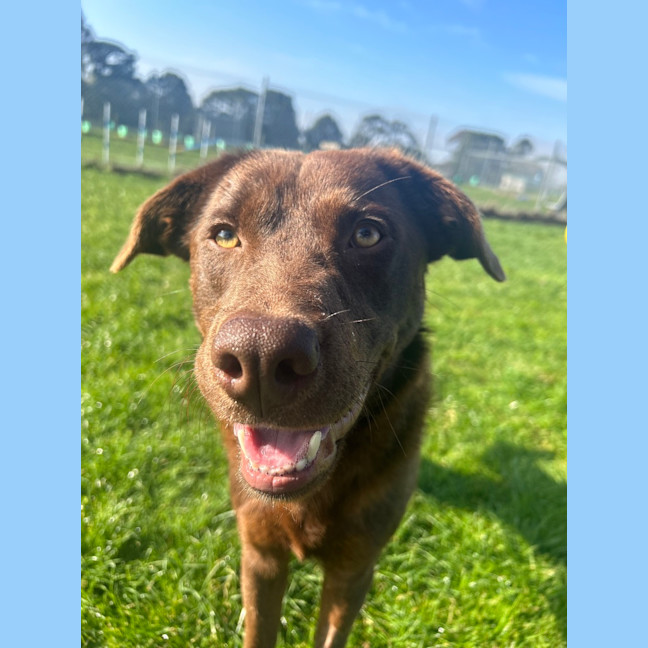 Photo of Max