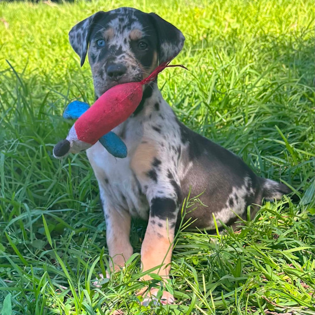 Photo of Kira
