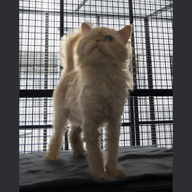 Photo of Sammy