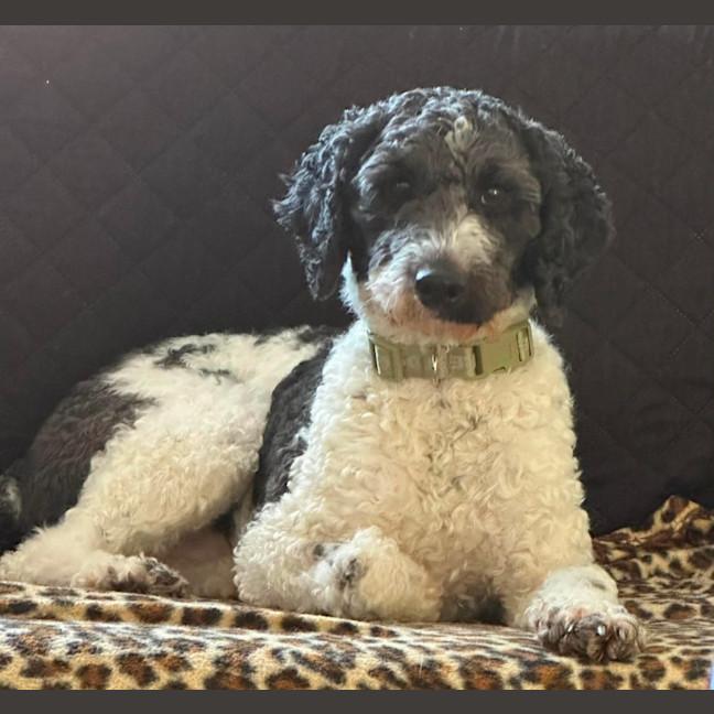 Photo of Heidi