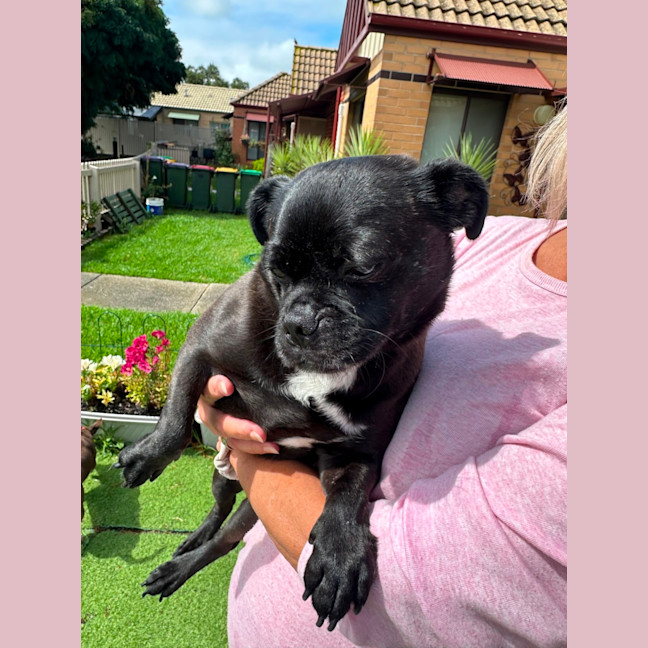 Photo of Christopher 