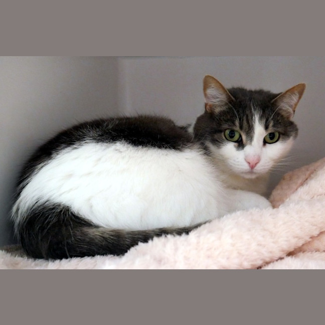 Photo of Kitty Rsua004756