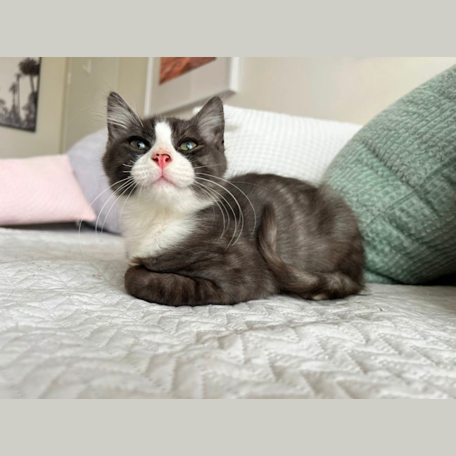 Photo of Zipper