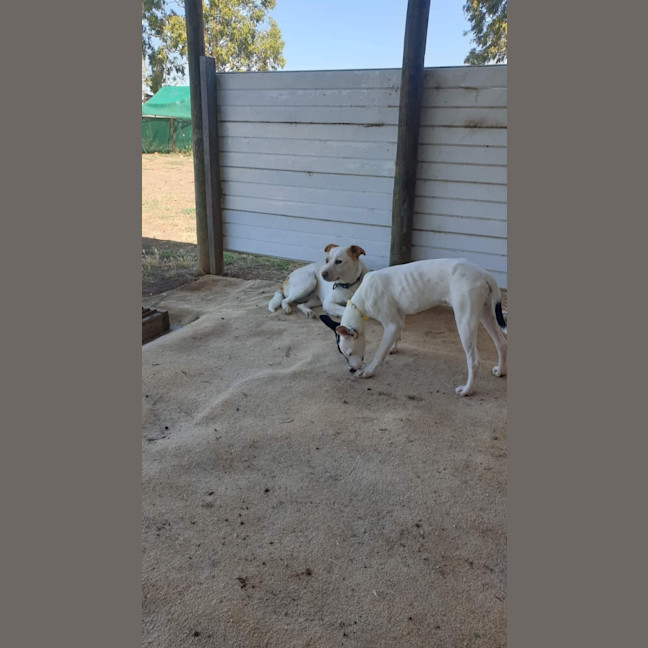 Photo of Dorothy Gale