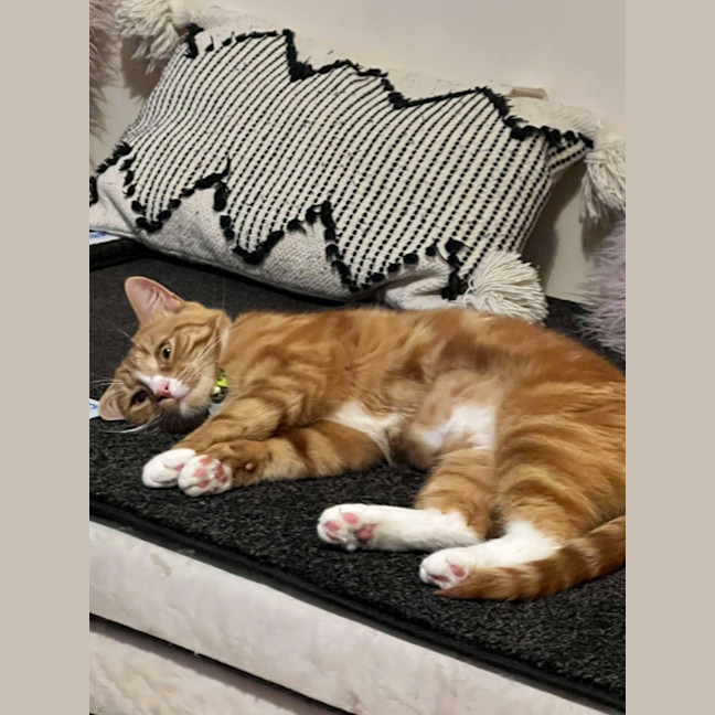 Photo of ⭐ Missy ⭐