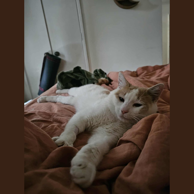 Photo of Rudolf 