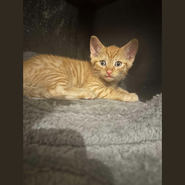Photo of Gus