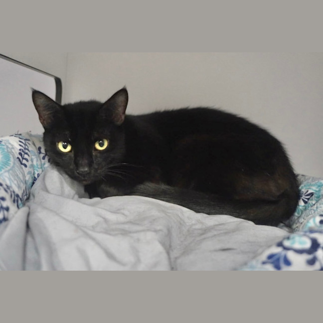 Photo of Tammy