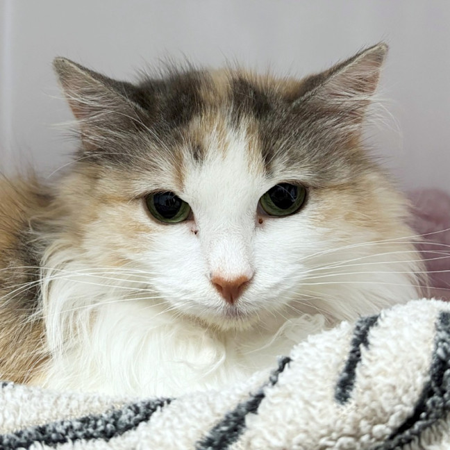 Photo of Greta Sta012876