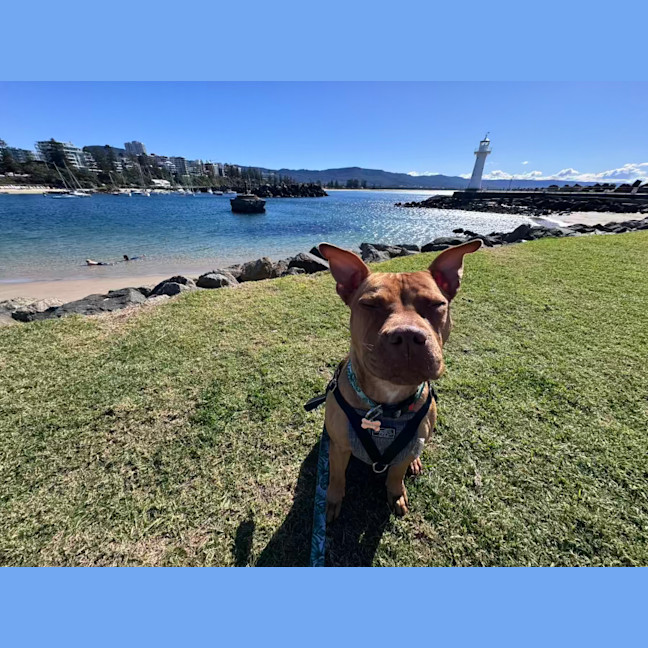 Photo of Lucy