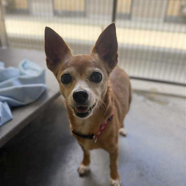 Photo of Smooch