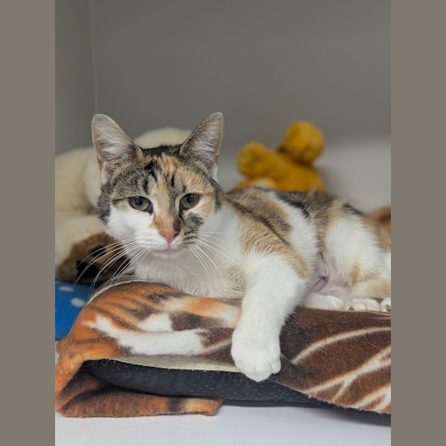 Photo of Buffy 