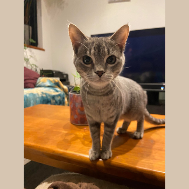 Photo of Ghost