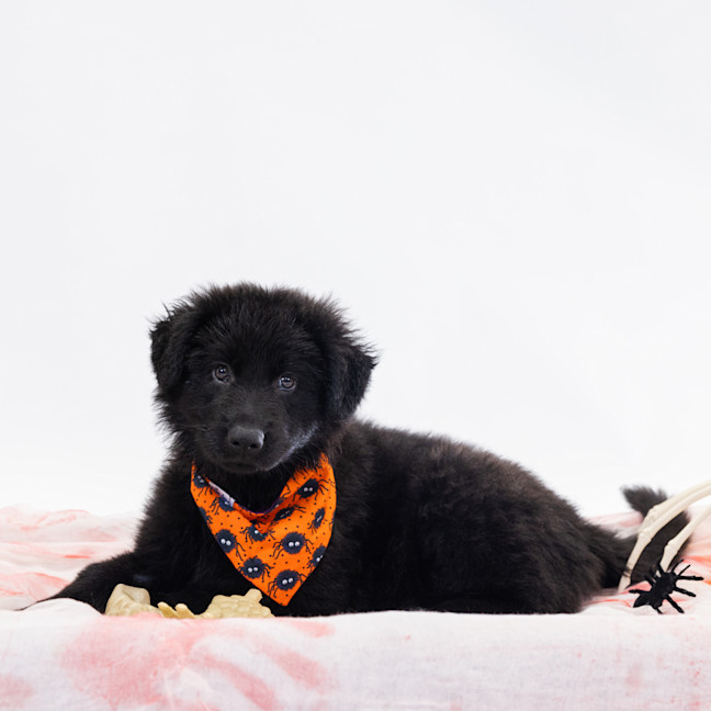 Photo of Lulu