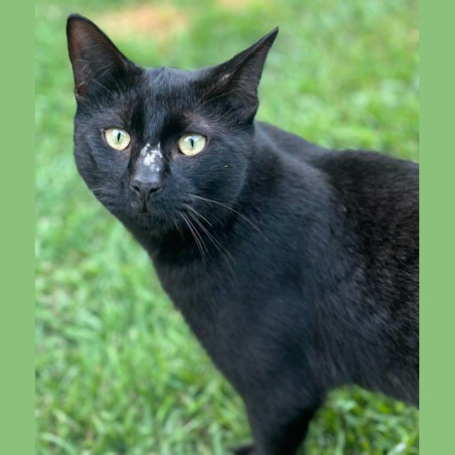 Photo of Charlie Chatterbox