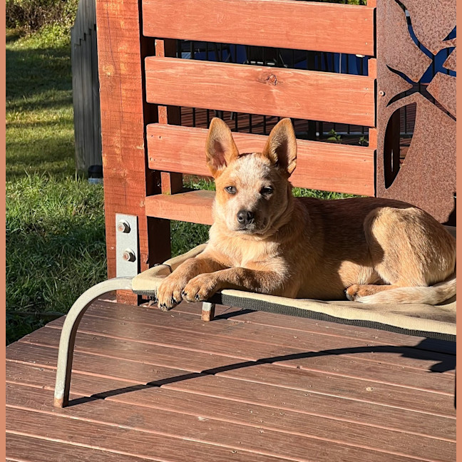 Photo of Echo