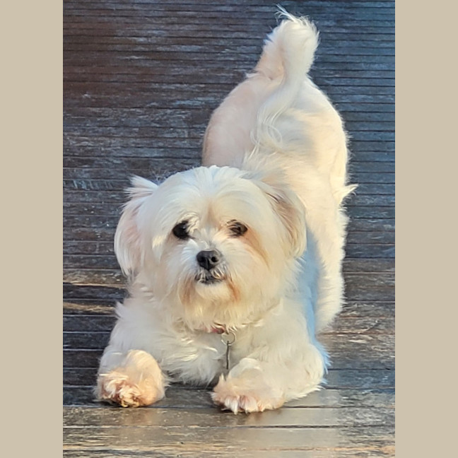 Photo of Sophie